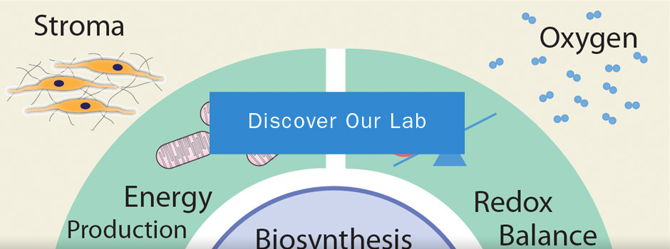 Discover our lab banner